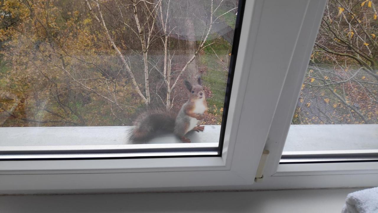 Pirni Apartment タリン エクステリア 写真